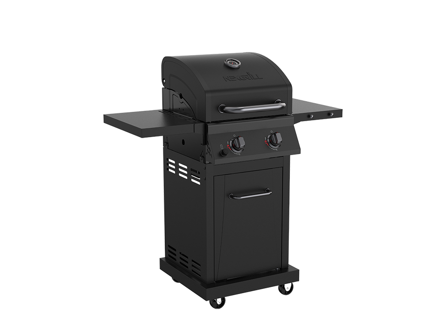 2 Burner Liquid Propane Gas Grill in Black