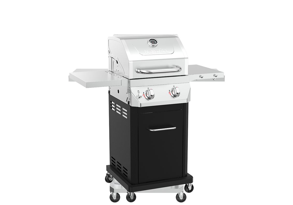 Side Burner Propane Burner Grill 2-Burner Gas Grill In Black Nexgrill