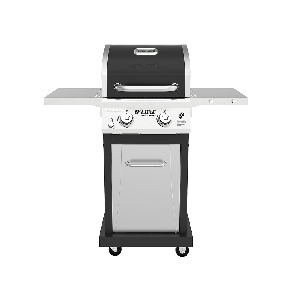 DEluxe 2-Burner Gas Grill