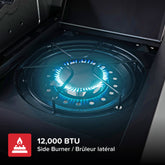 4-Burner Dual Fuel Gas Grill in Black with Side and PowerMax™ Burners