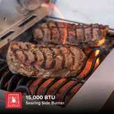 Deluxe 6 Burner Dual Fuel Gas Grill with Searing Side Burner