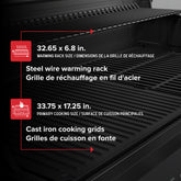 Gourmet Pro 6-Burner Graphite Dual Fuel Gas Grill with Searing Side Burner