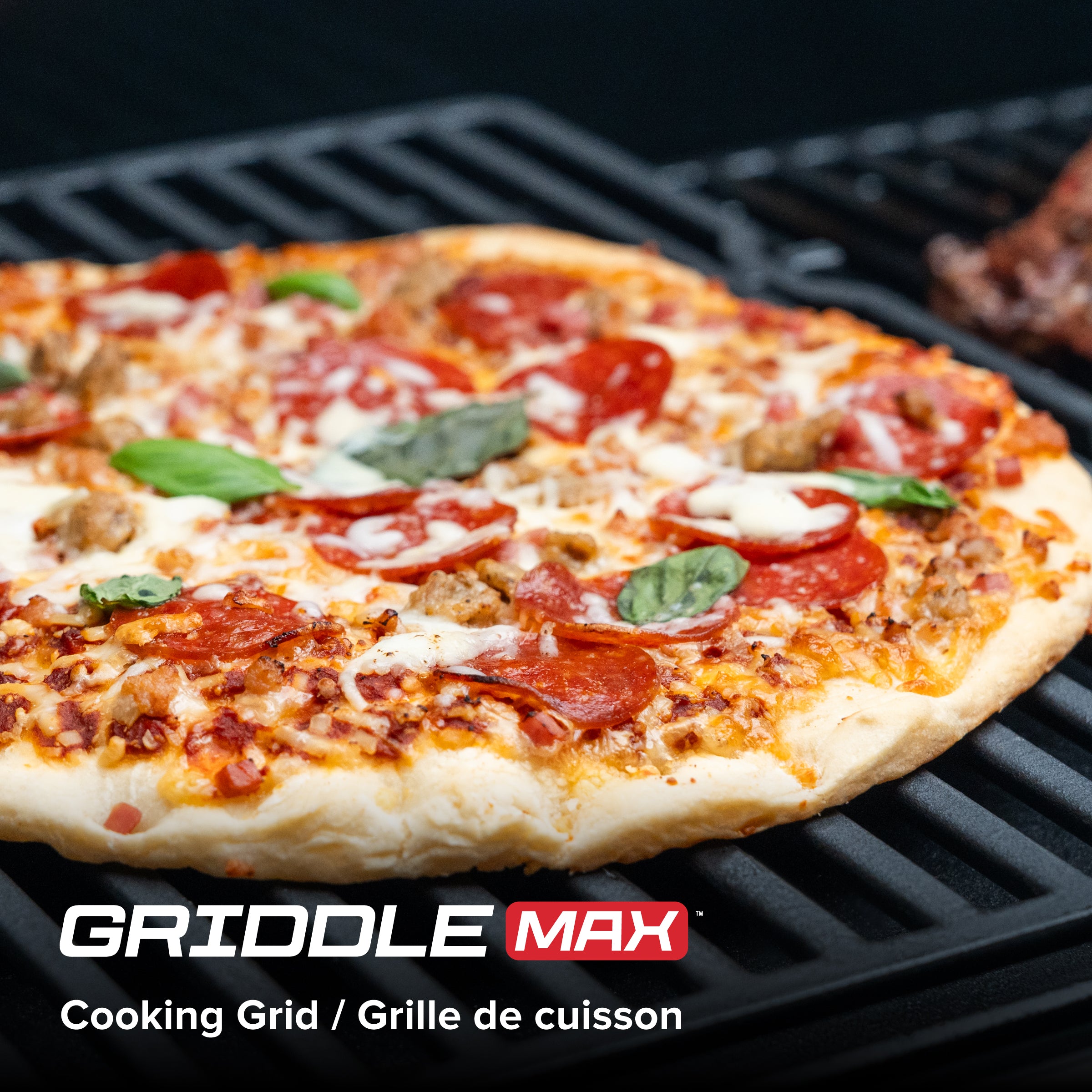 Gourmet Pro 6-Burner Graphite Dual Fuel Gas Grill with Searing Side Bu