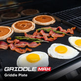 Gourmet Pro 6-Burner Stainless Steel Gas Grill with Searing Side Burner