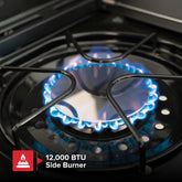 5 Burner Propane Gas Grill with Side Burner in Black