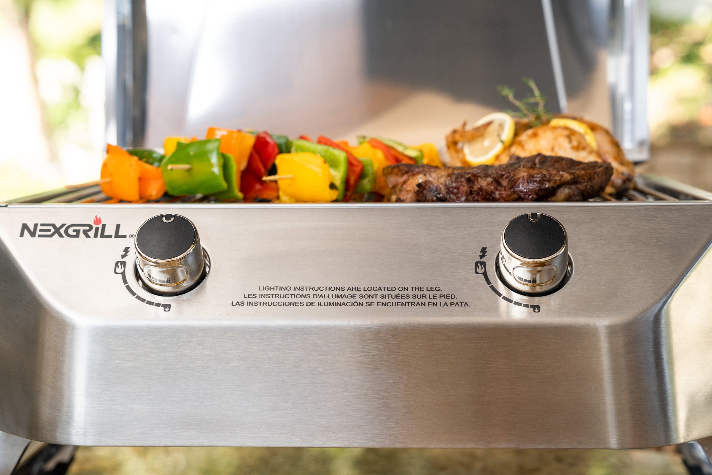 2-Burner Stainless Steel Portable Gas Grill | Nexgrill