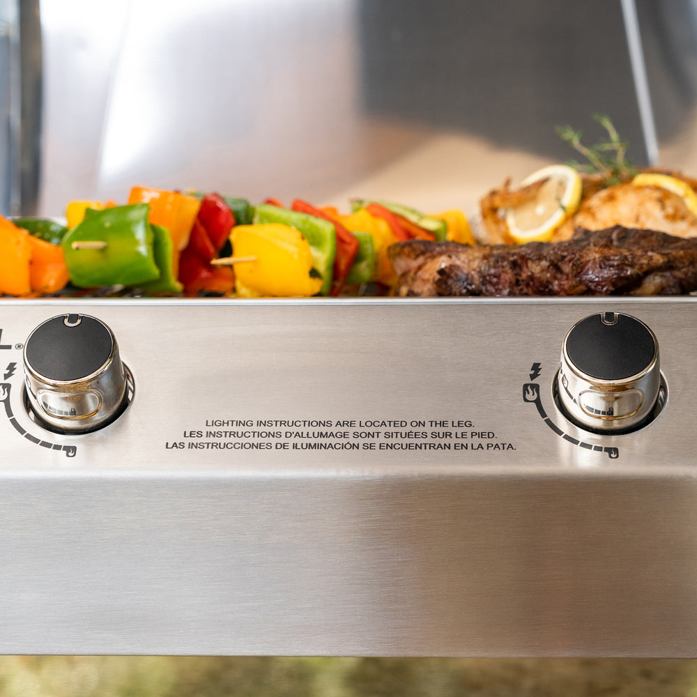 2-Burner Stainless Steel Portable Gas Grill