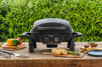 Fortress™ 2-Burner Cast Aluminum Gas Grill with Gourmet Plus™ Cooking System