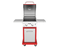 DEluxe 2-Burner Grill