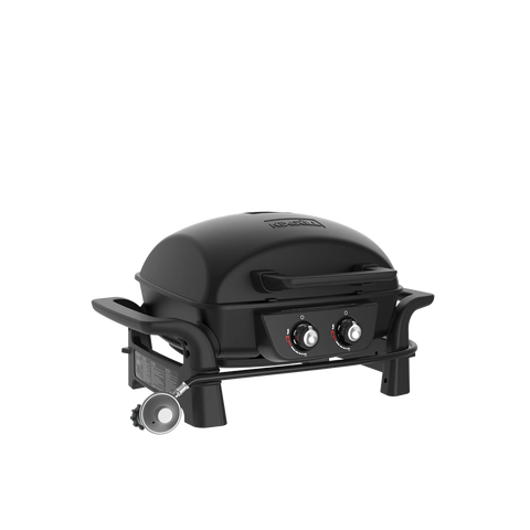 DEluxe 2 Burner Gas Grill