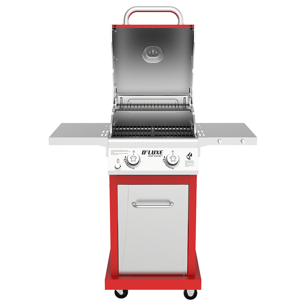 DEluxe 2-Burner Grill