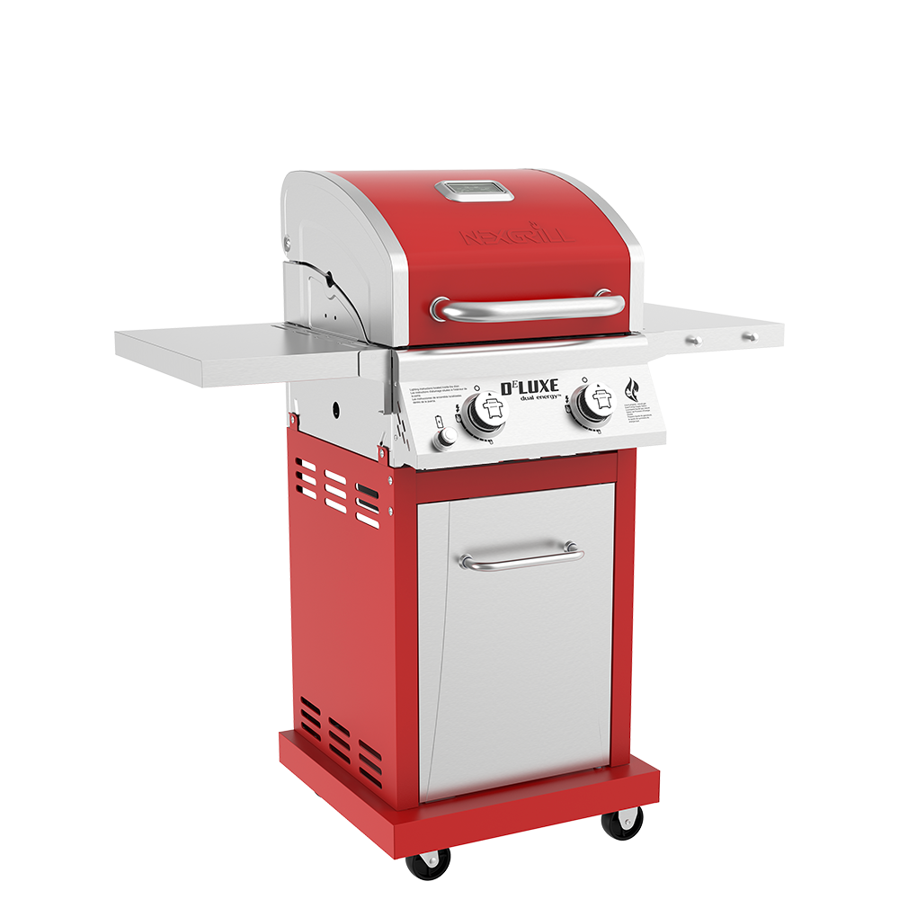 DEluxe 2-Burner Grill