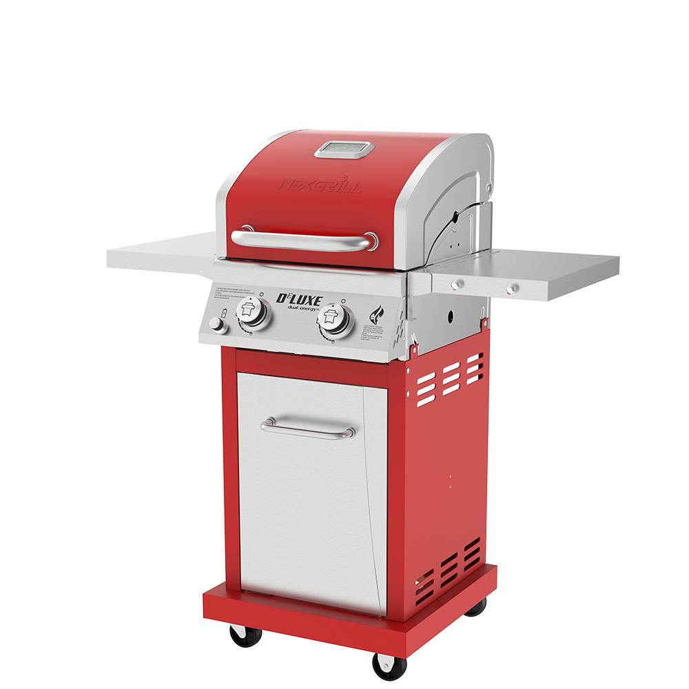 DEluxe 2-Burner Grill